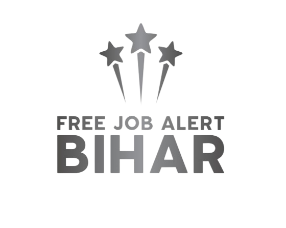 Professional Logo Designer in Patna-Bihar - Netmage Tech System